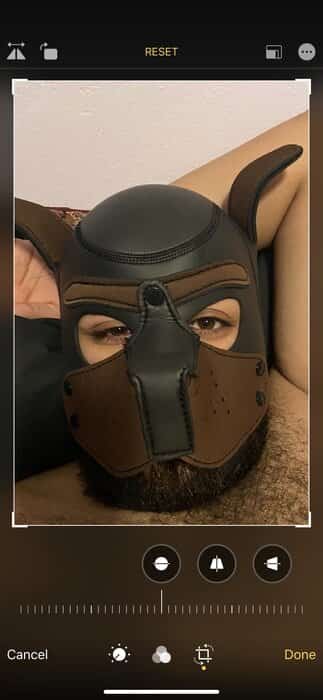 Scruffysonasty profile photo